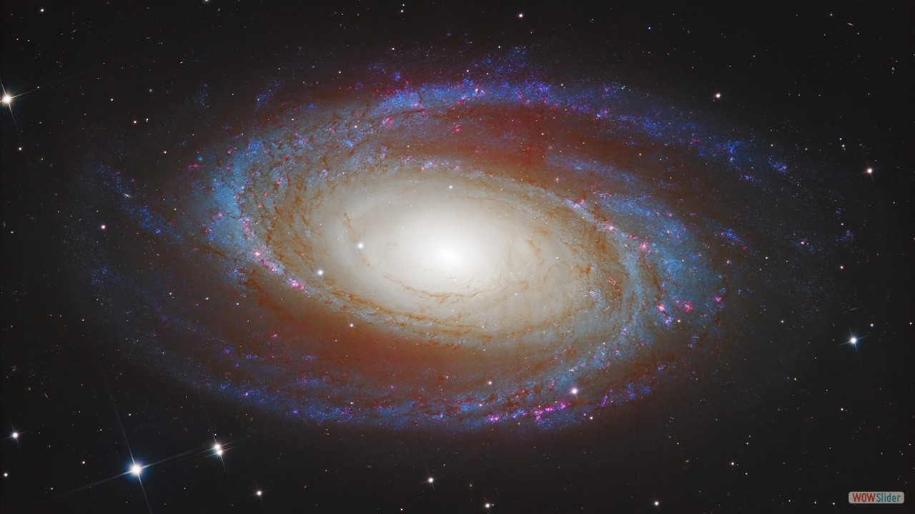 M81