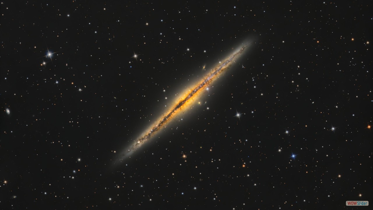 NGC891